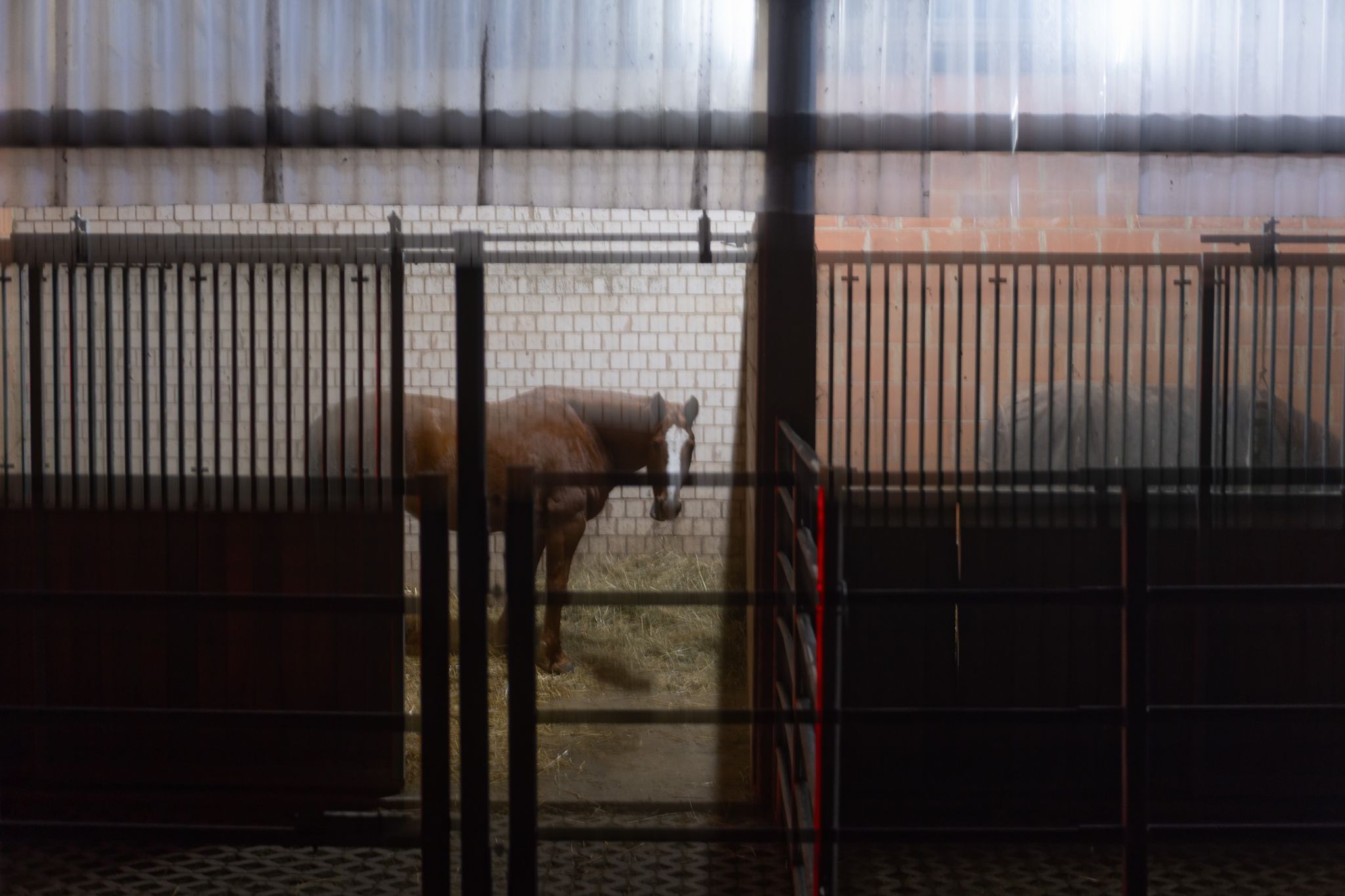 50 220111 Dirk Opitz Nacht DIO8283 DxO